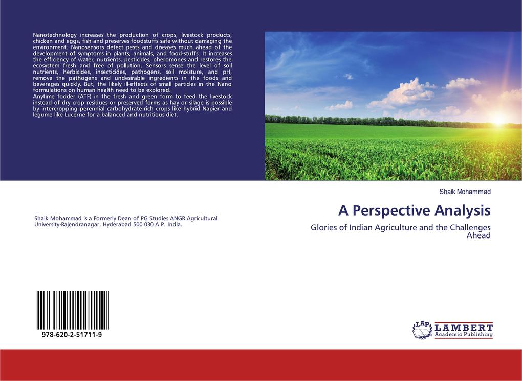 A Perspective Analysis