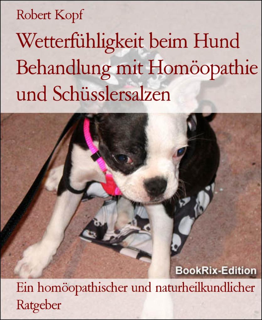 Wetterfühligkeit beim Hund Behandlung mit Homöopathie und Schüsslersalzen