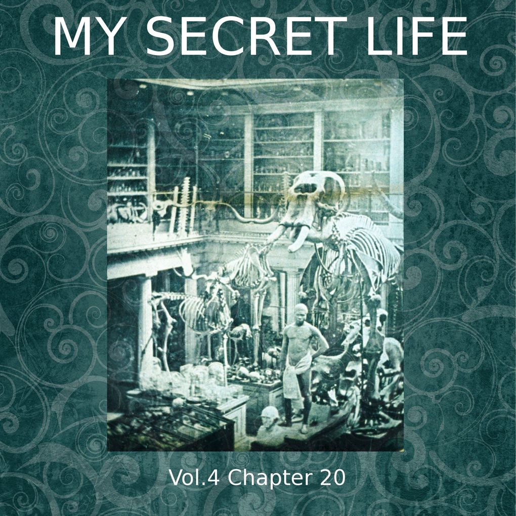 My Secret Life Vol. 4 Chapter 20