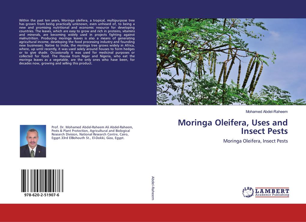 Moringa Oleifera Uses and Insect Pests