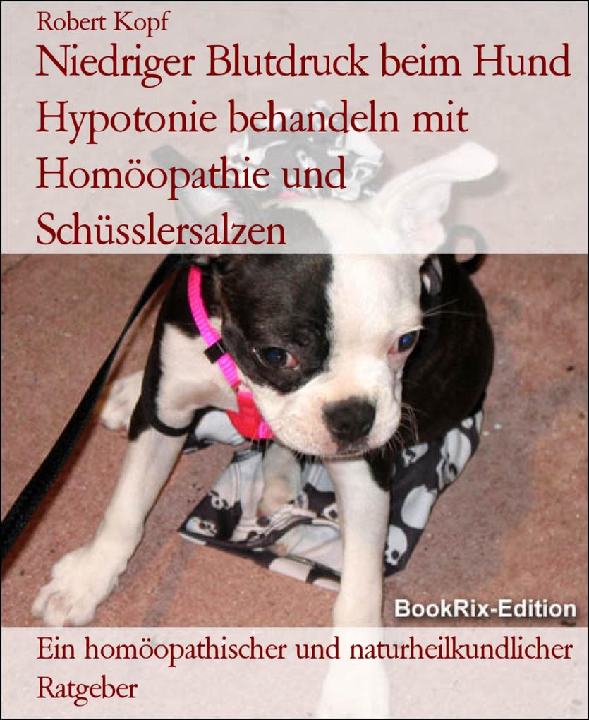 Niedriger Blutdruck beim Hund Hypotonie behandeln mit Homöopathie und Schüsslersalzen