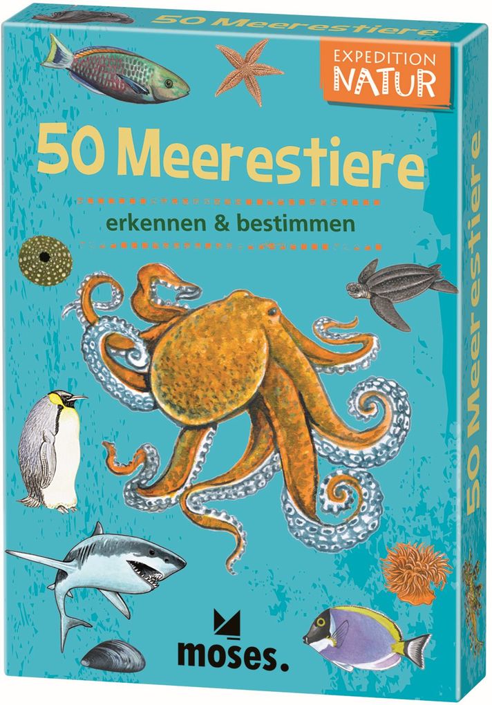 Image of 50 Meerestiere erkennen & bestimmen