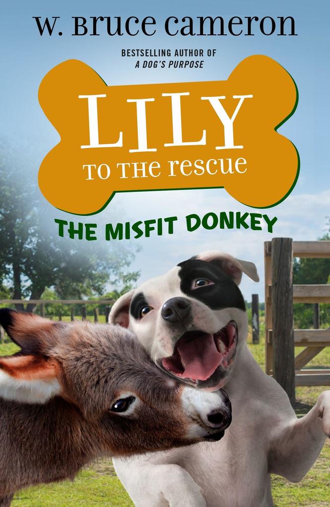  to the Rescue: The Misfit Donkey