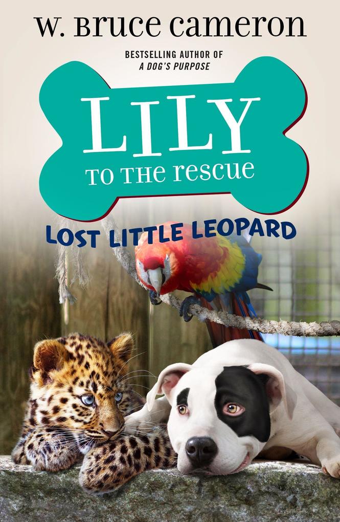  to the Rescue: Lost Little Leopard