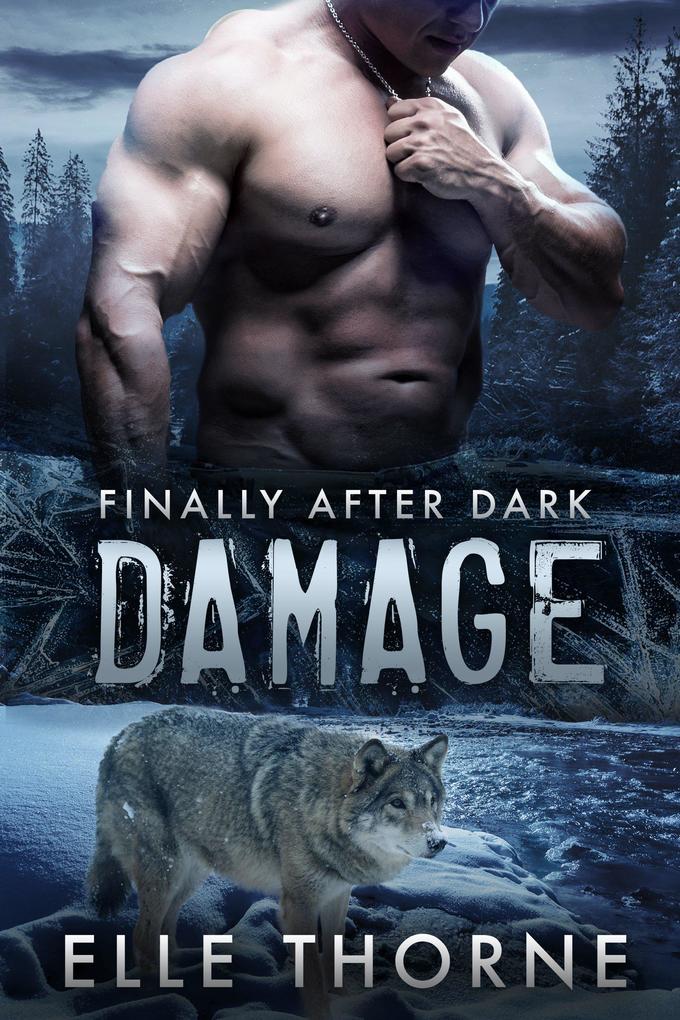 Damage: Finally After Dark (Shifters Forever Worlds #45)