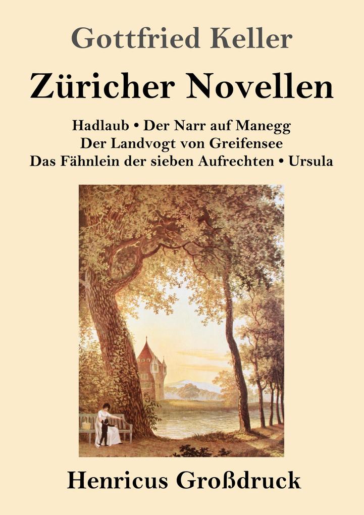 Image of Züricher Novellen (Großdruck)