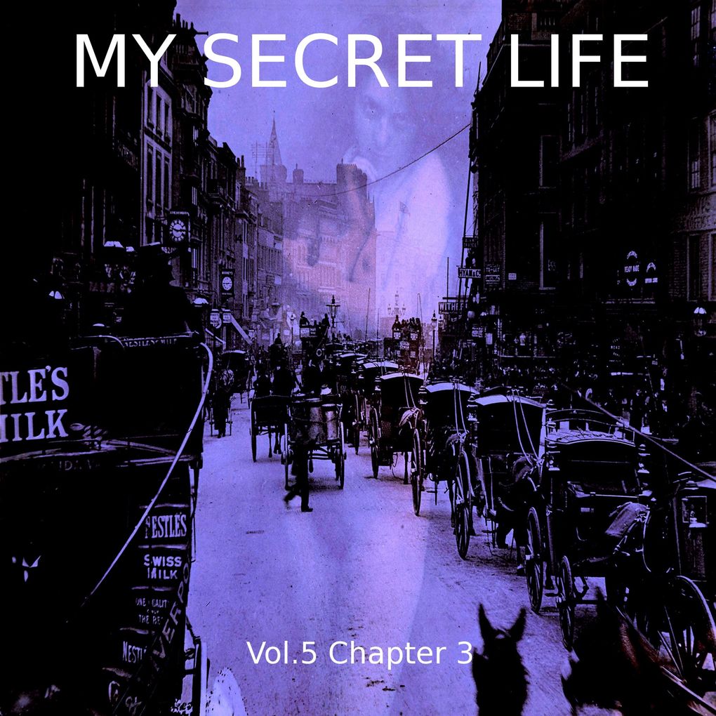 My Secret Life Vol. 5 Chapter 3