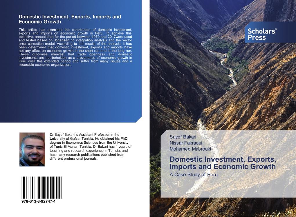 Domestic Investment Exports Imports and Economic Growth