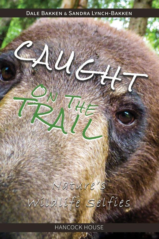 Caught on the Trail