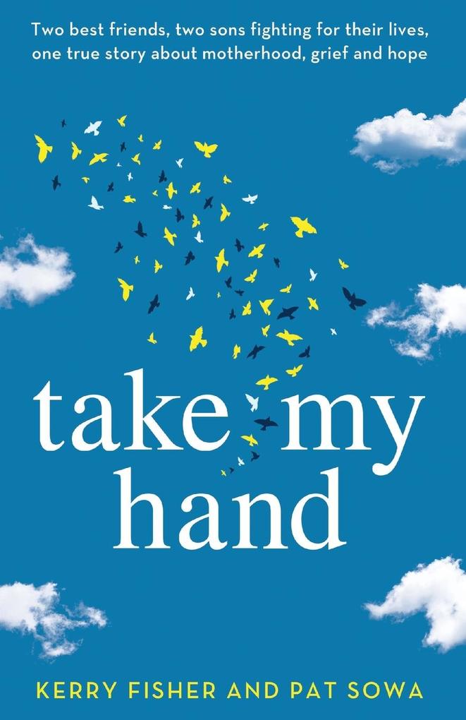 Take My Hand: Two best friends two sons fighting for their lives one true story about motherhood grief and hope.
