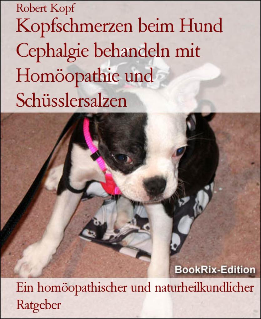 Kopfschmerzen beim Hund Cephalgie behandeln mit Homöopathie und Schüsslersalzen