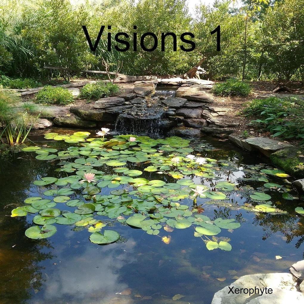 Visions 1