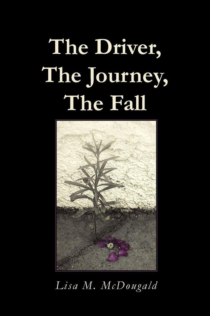 The Driver The Journey The Fall