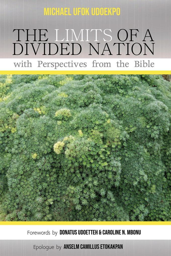 The Limits of a Divided Nation with Perspectives from the Bible