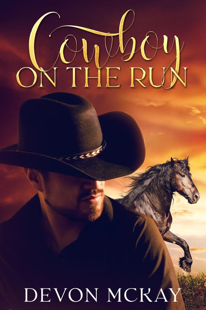 Cowboy on the Run