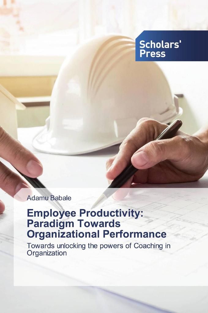 Employee Productivity: Paradigm Towards Organizational Performance