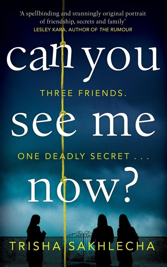 Can You See Me Now?