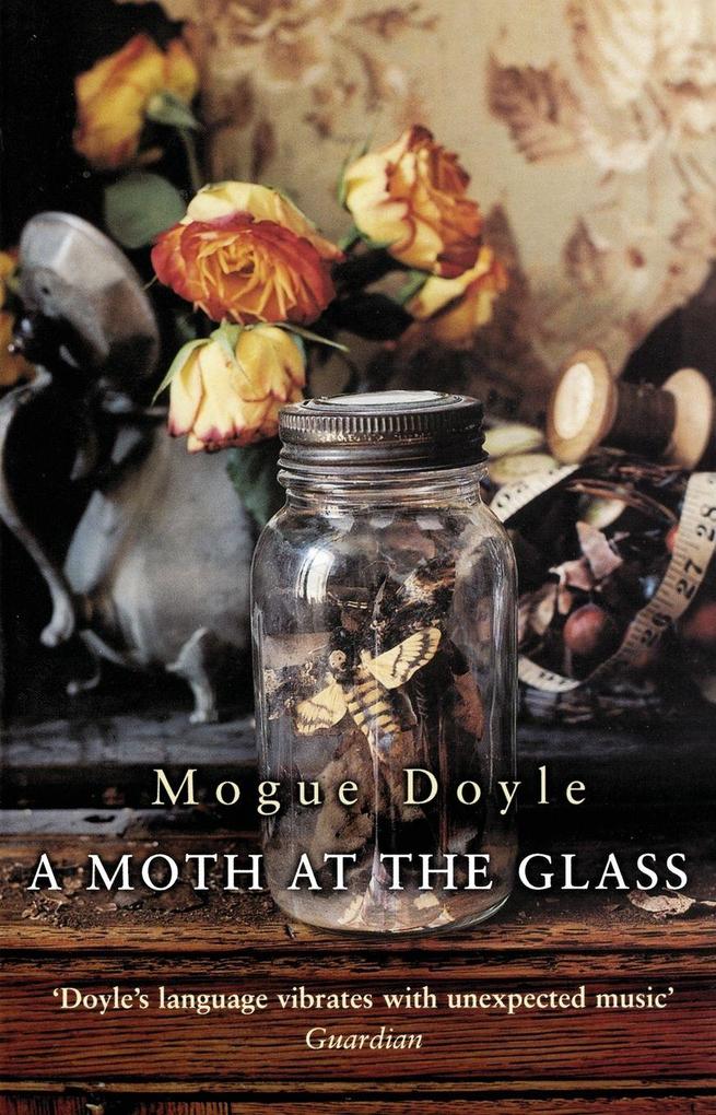 A Moth At The Glass