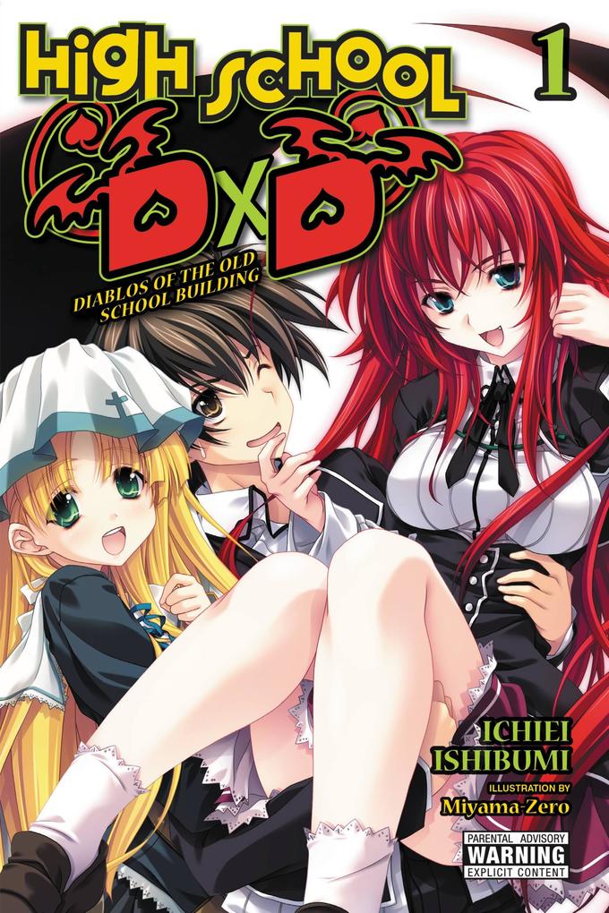 High School DXD Vol. 1 (Light Novel)
