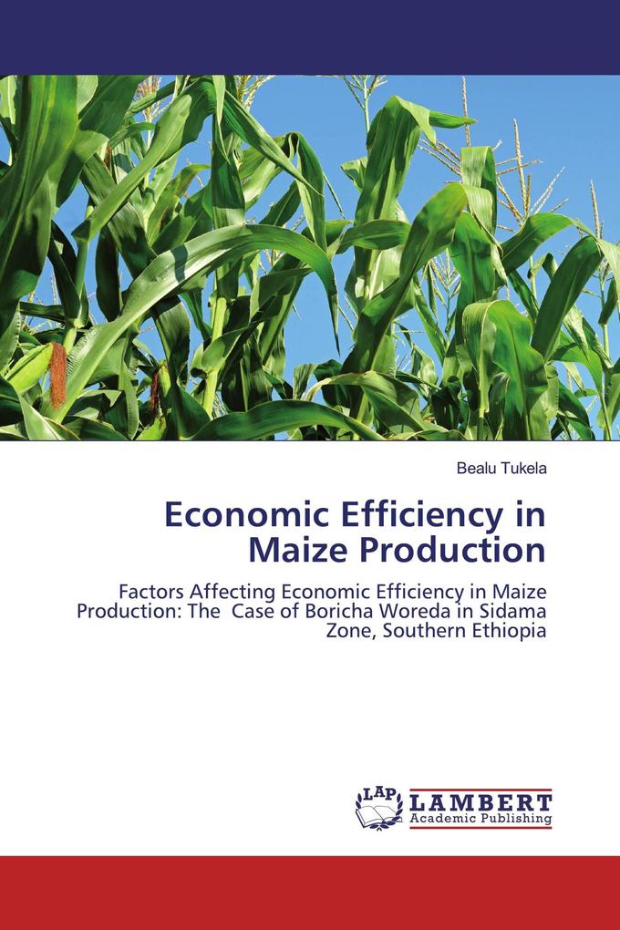Economic Efficiency in Maize Production