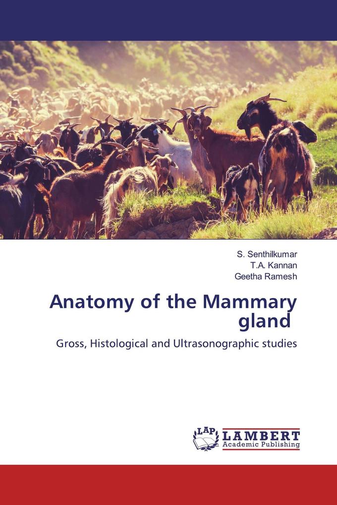 Anatomy of the Mammary gland