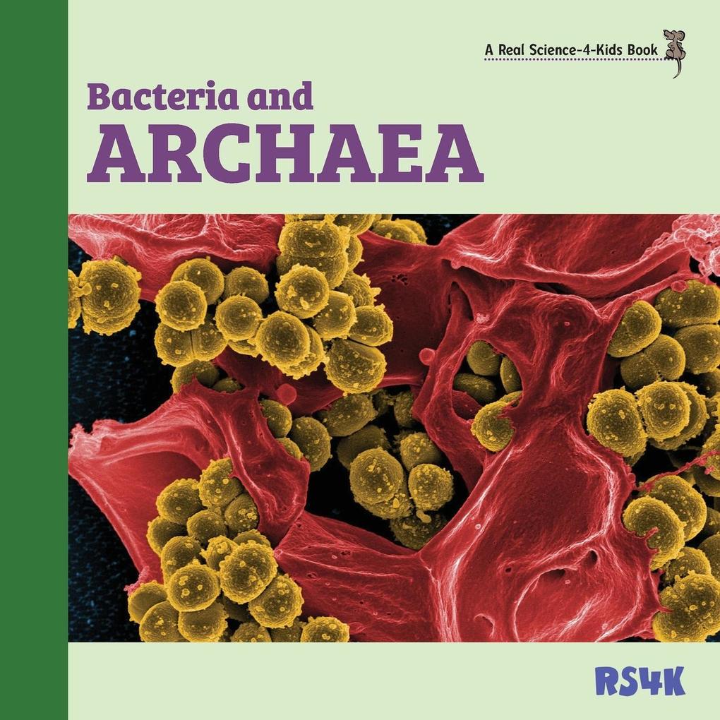 Bacteria and Archaea