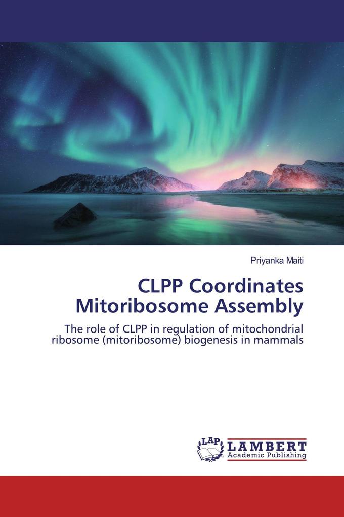 CLPP Coordinates Mitoribosome Assembly