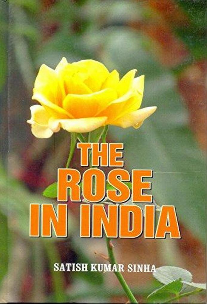 Rose in India