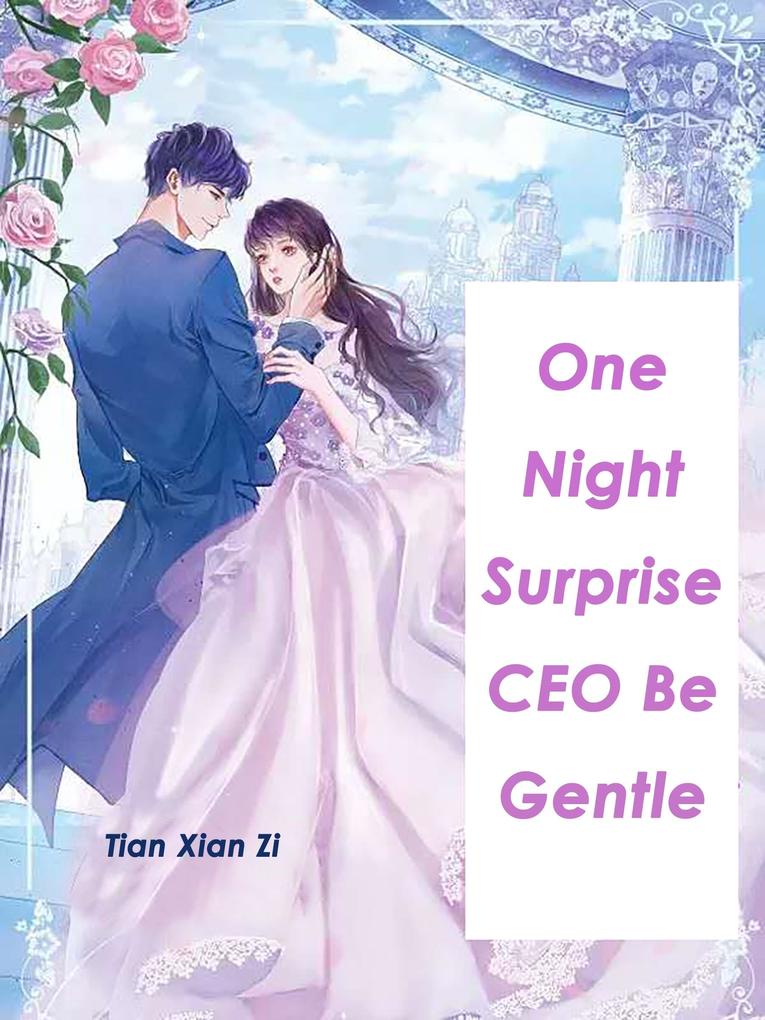 One Night Surprise: CEO Be Gentle