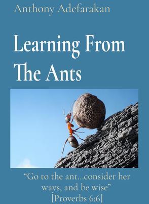 Learning From The Ants: Go to the ant...consider her ways and be wise [Proverbs 6