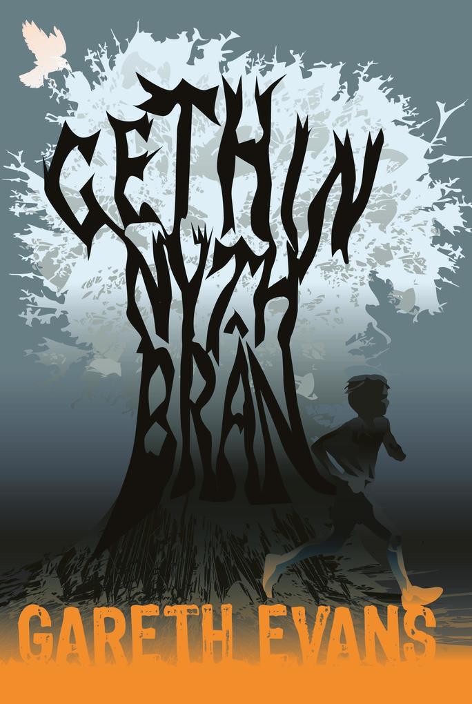 Gethin Nyth Bran - Gareth Evans