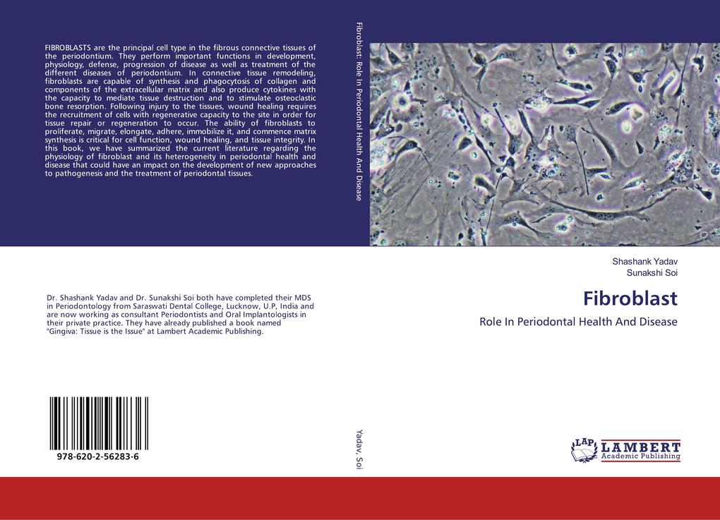 Fibroblast