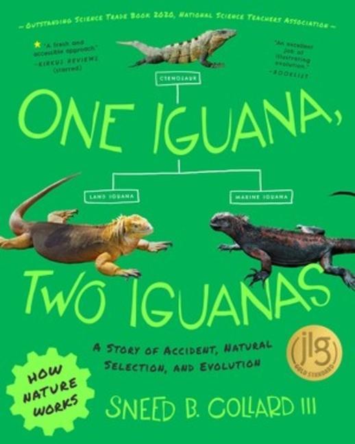 One Iguana Two Iguanas