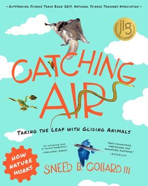 Catching Air - Taking the Leap with Gliding Animals