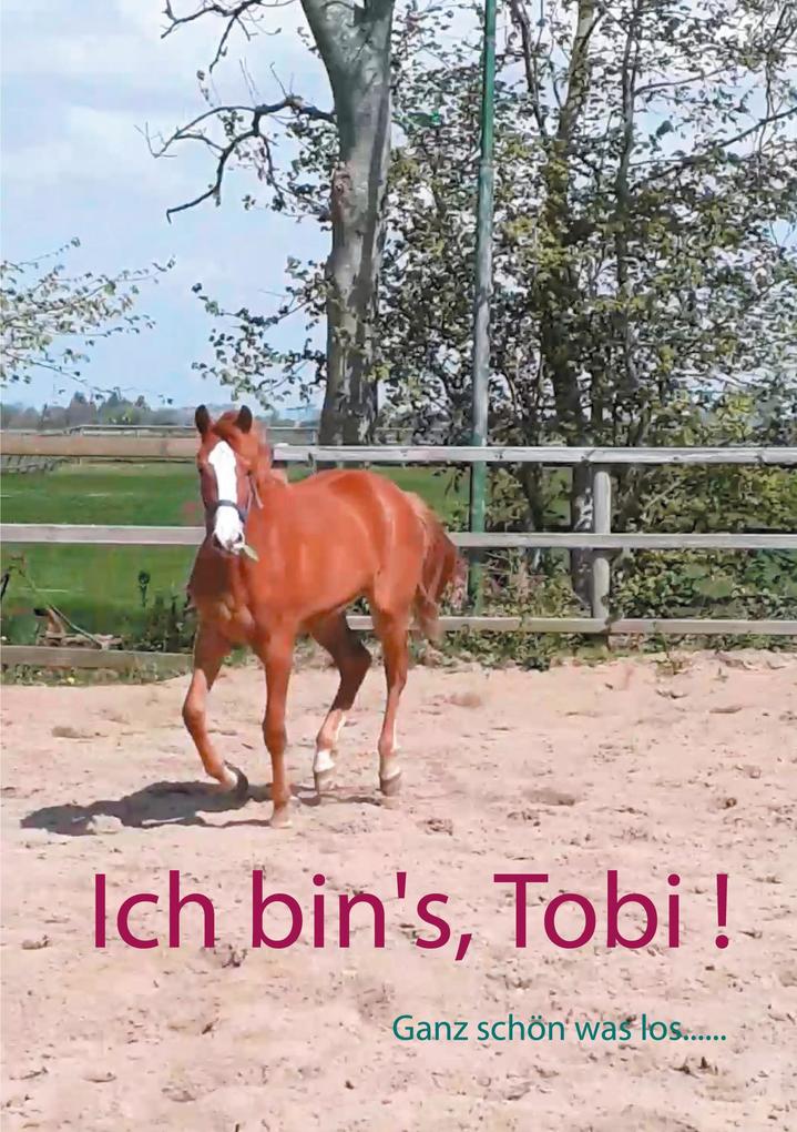 Ich bin's Tobi !