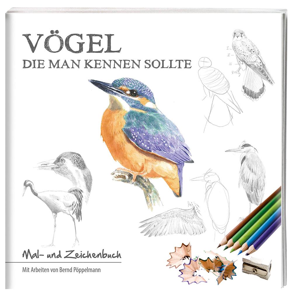 Vögel die man kennen sollte