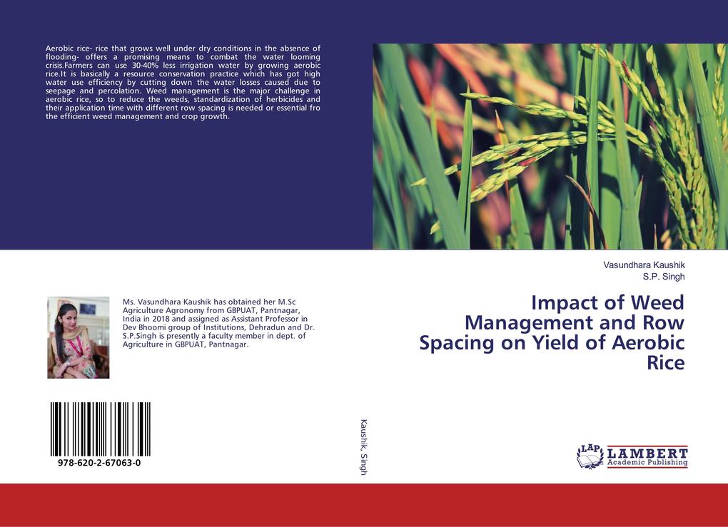 Impact of Weed Management and Row Spacing on Yield of Aerobic Rice