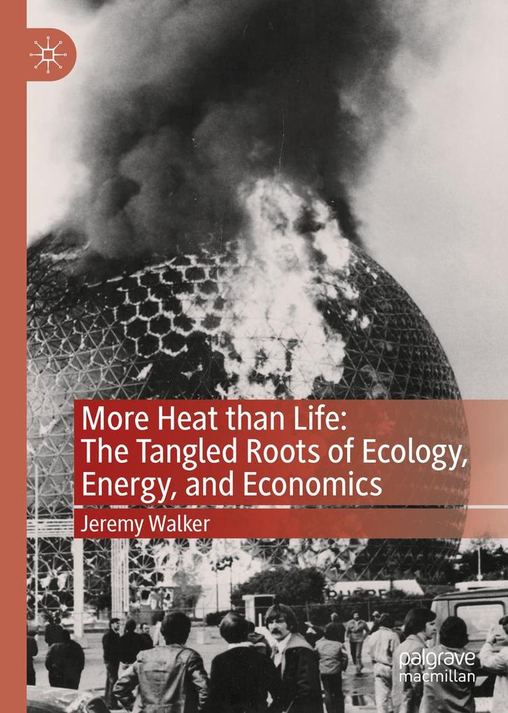 More Heat than Life: The Tangled Roots of Ecology Energy and Economics