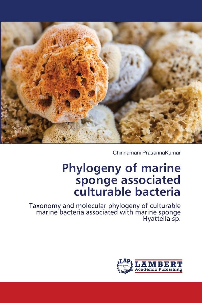 Phylogeny of marine sponge associated culturable bacteria