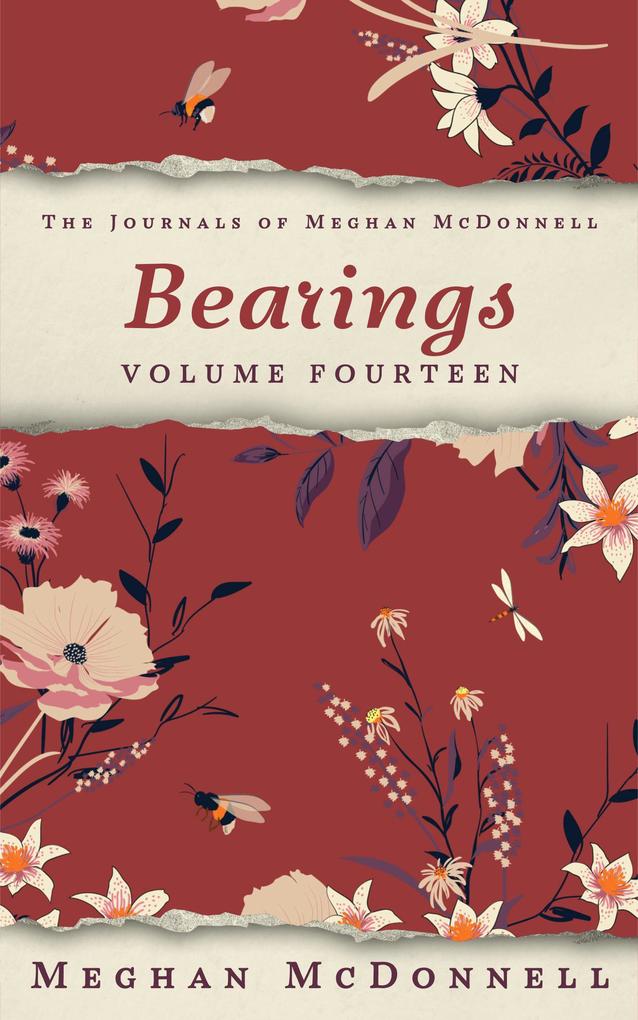 Bearings: Volume Fourteen (The Journals of Meghan McDonnell #14)