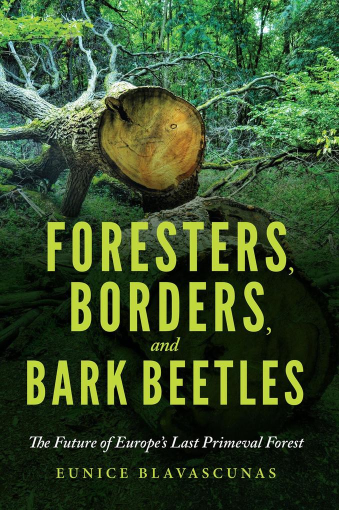 Foresters Borders and Bark Beetles
