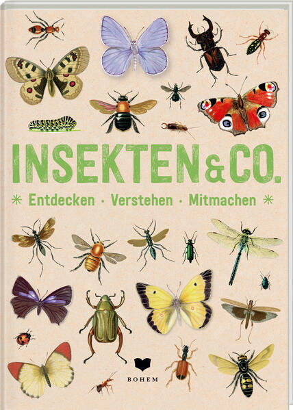 Image of INSEKTEN & Co.