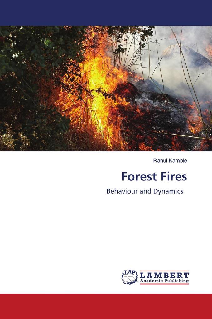 Forest Fires