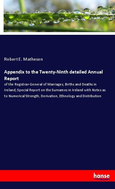 Appendix to the Twenty-Ninth detailed Annual Report