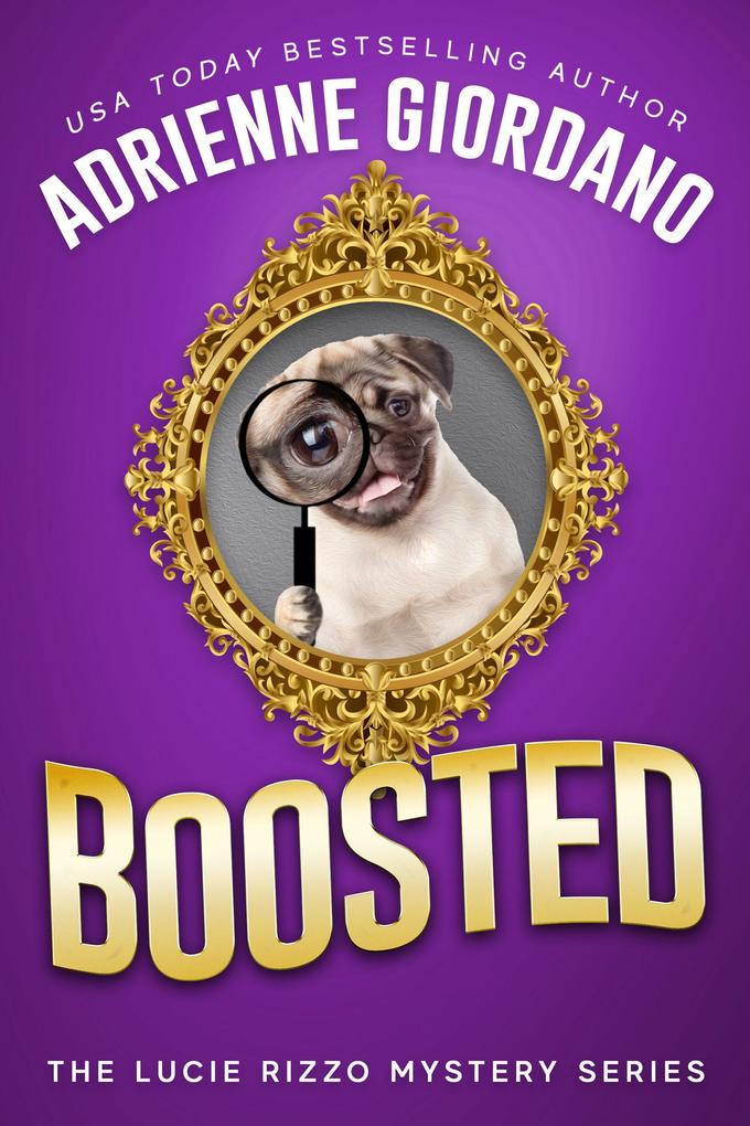 Boosted (A Lucie Rizzo Mystery #4)