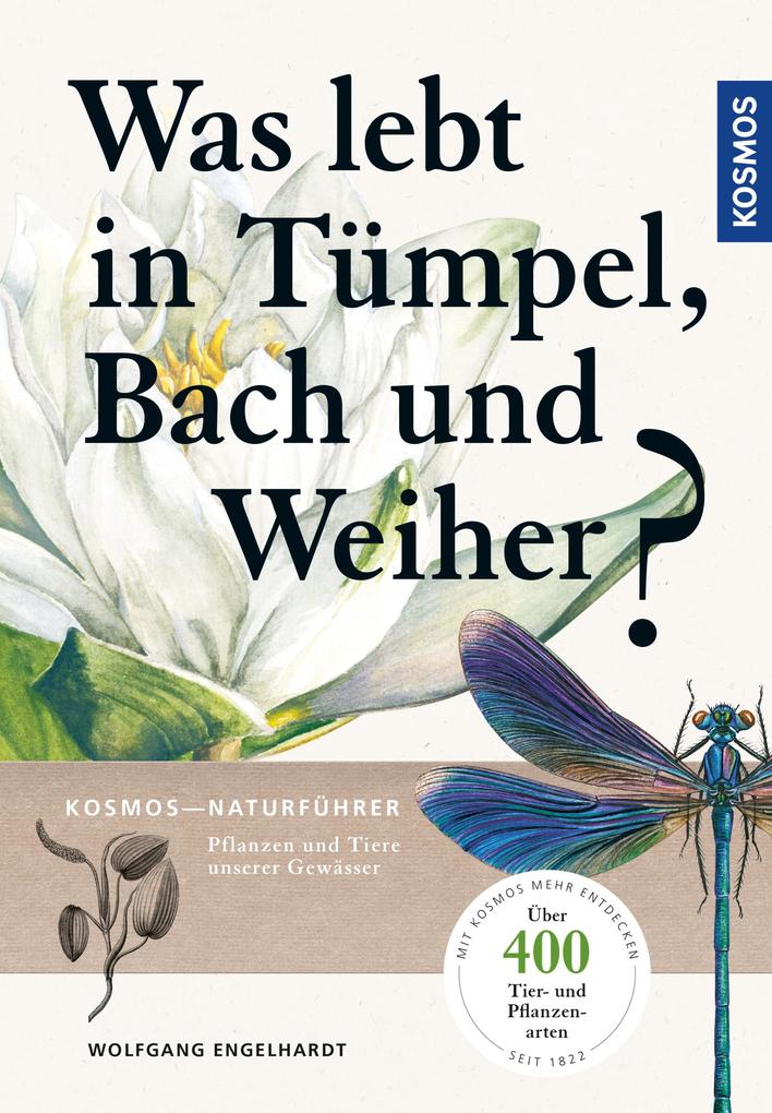 Was lebt in Tümpel Bach und Weiher