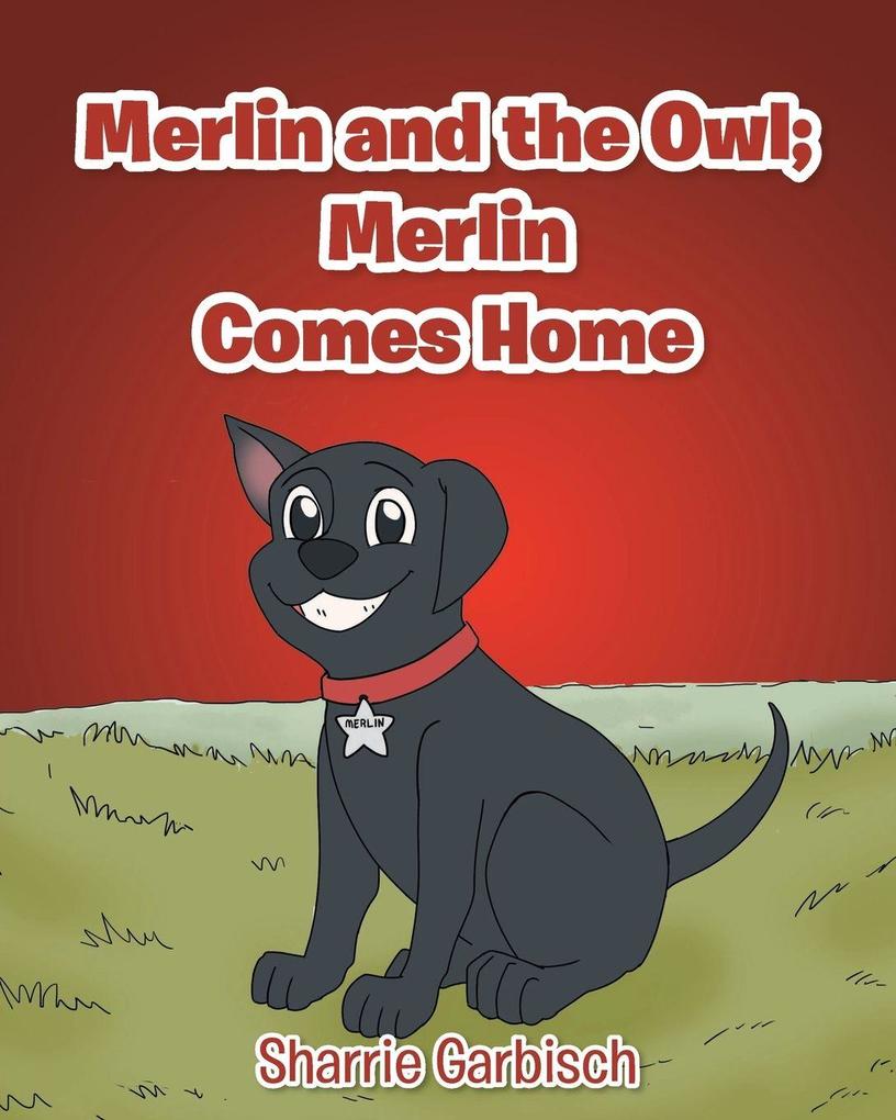 Merlin and the Owl