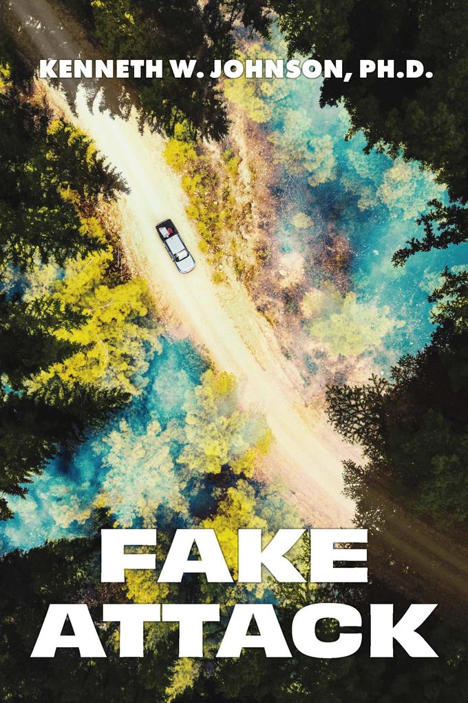 1st Novel: Fake Attack