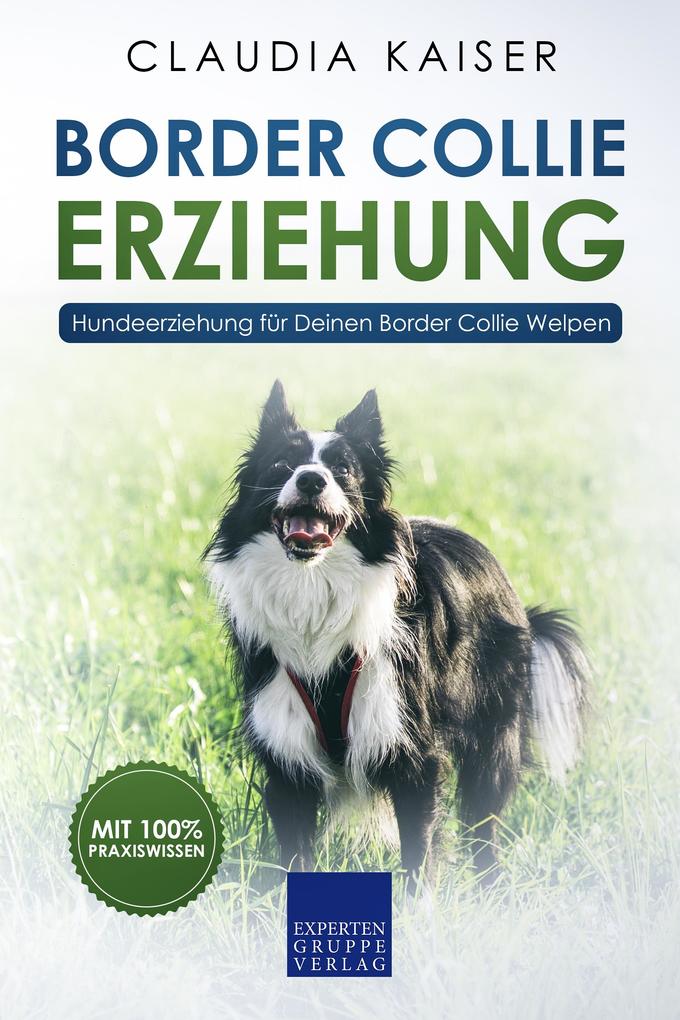 Border Collie Erziehung - Hundeerziehung für Deinen Border Collie Welpen