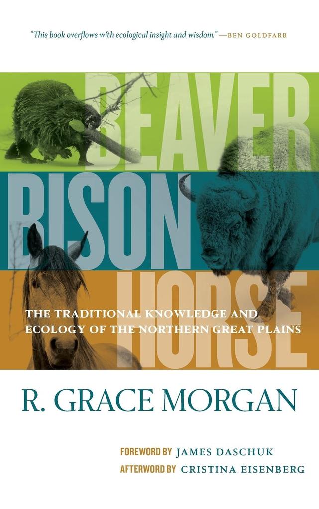 Beaver Bison Horse